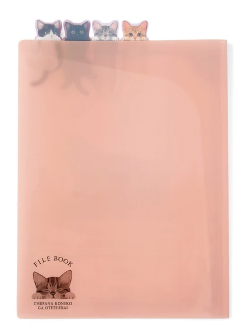 FELISSIMO pink Store Supplies File/Notebook