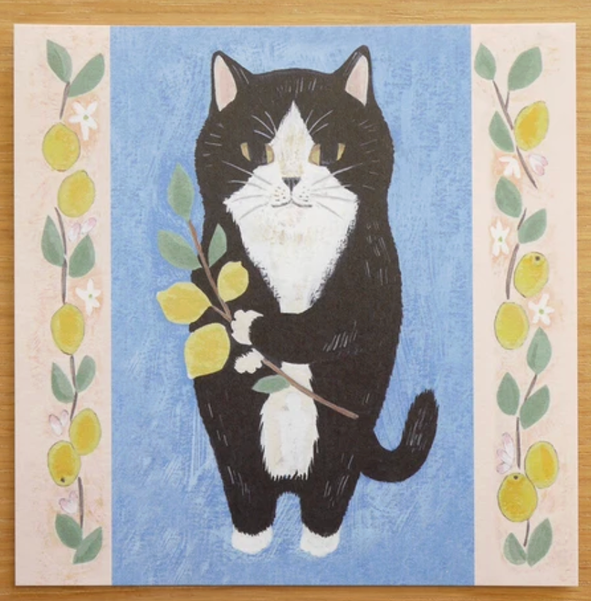 Cat Memo [#15 Tuxedo Cat] 50pcs