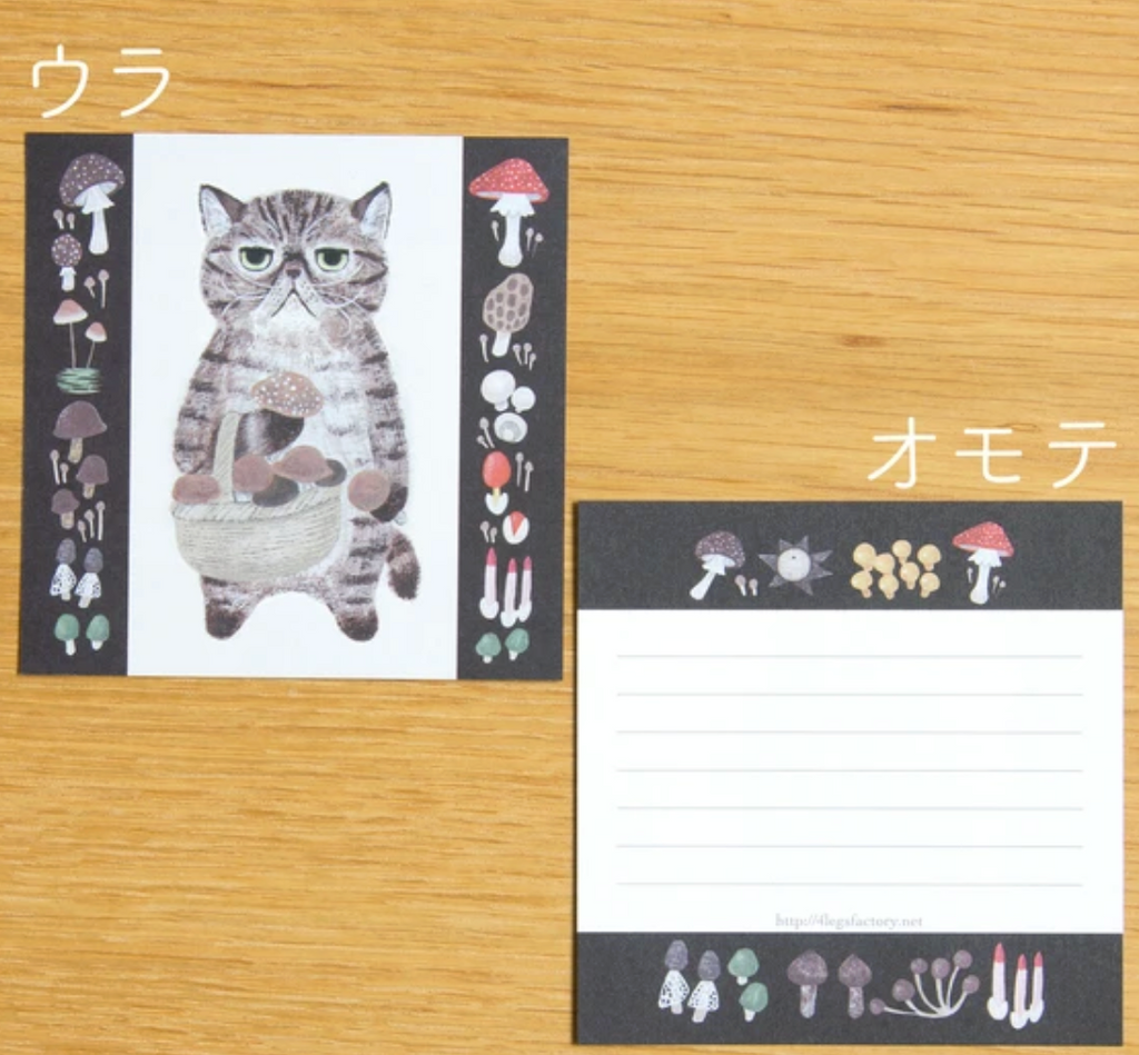 Cat Memo [#22 Exotic Shorthair] 50pcs