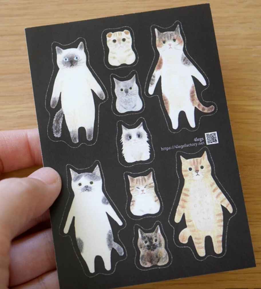 Letter Set - Cat Connections