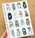 Seal [cat in picture book]