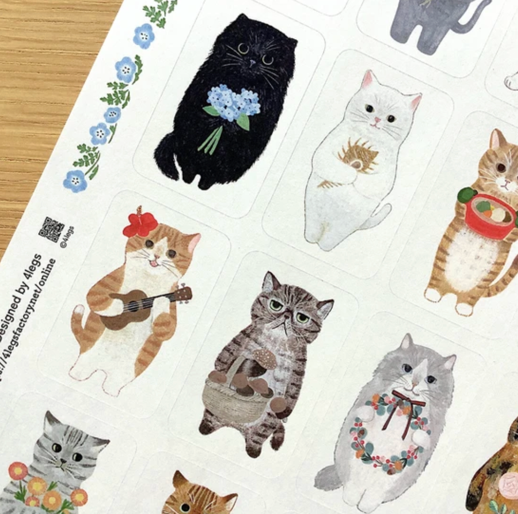 Seal [cat in picture book]