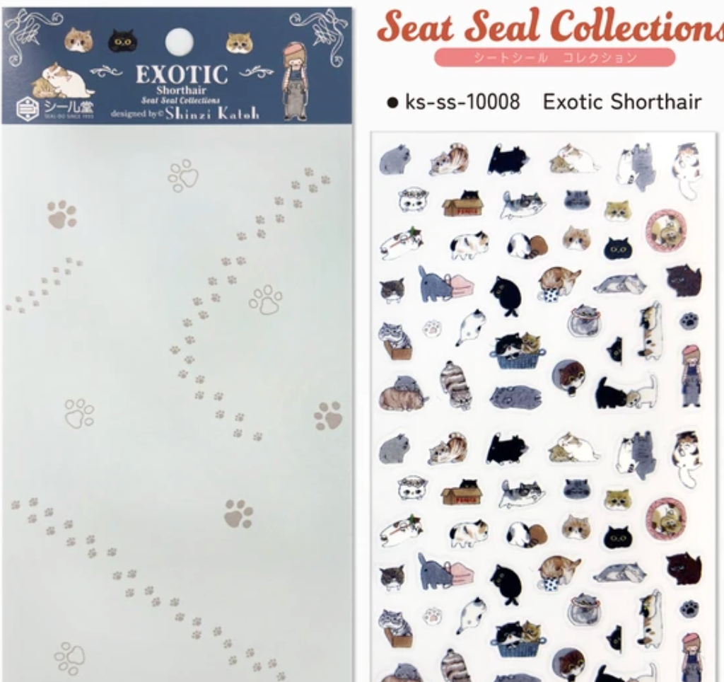 Sheet seals Exotic Shorthair
