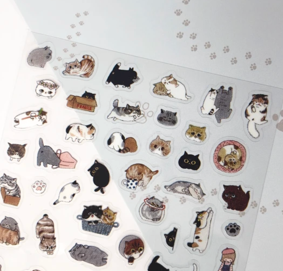 Sheet seals Exotic Shorthair