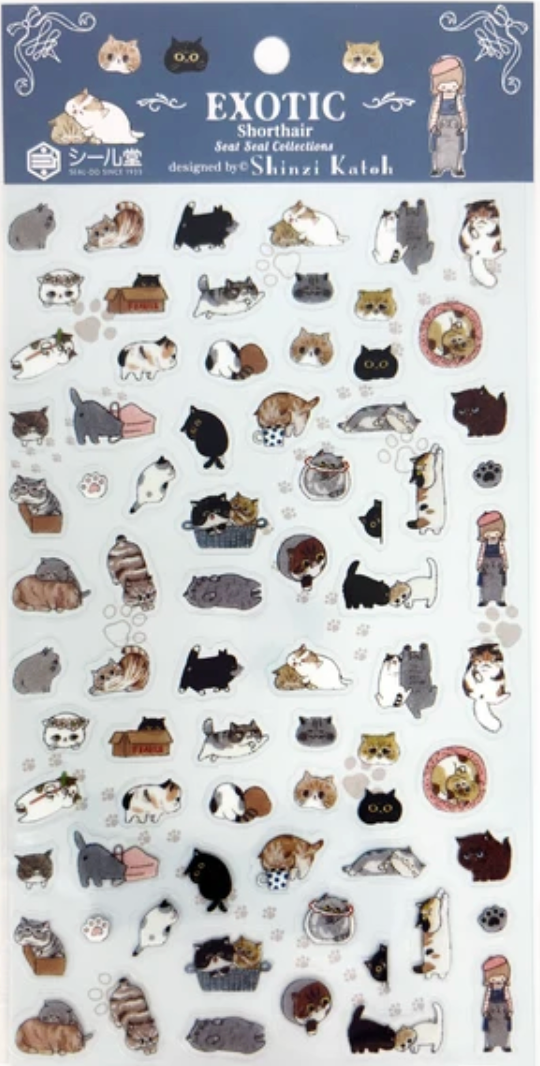 Sheet seals Exotic Shorthair