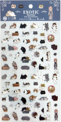 Sheet seals Exotic Shorthair