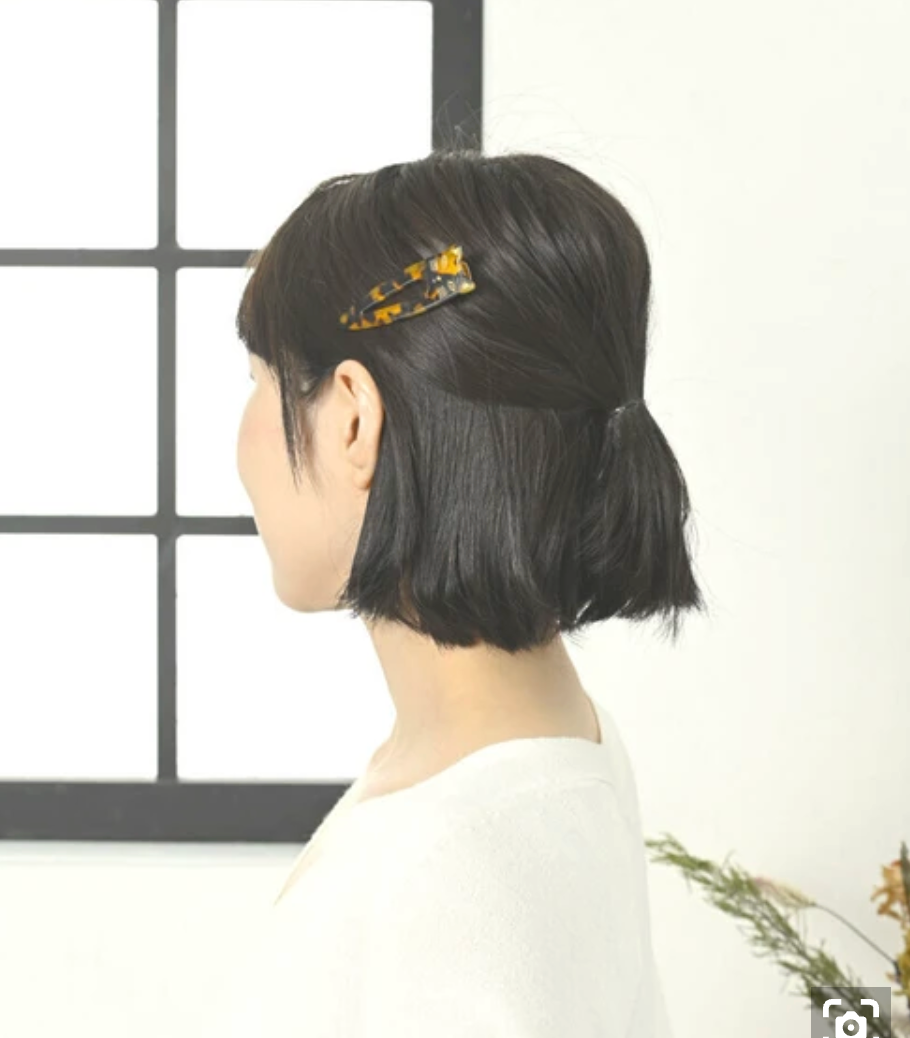 Clip Brown Ladies fashion Hair Clip Brown Cat